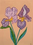 Paarse Irissen